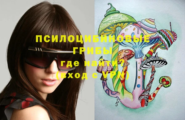 стаф Верхний Тагил